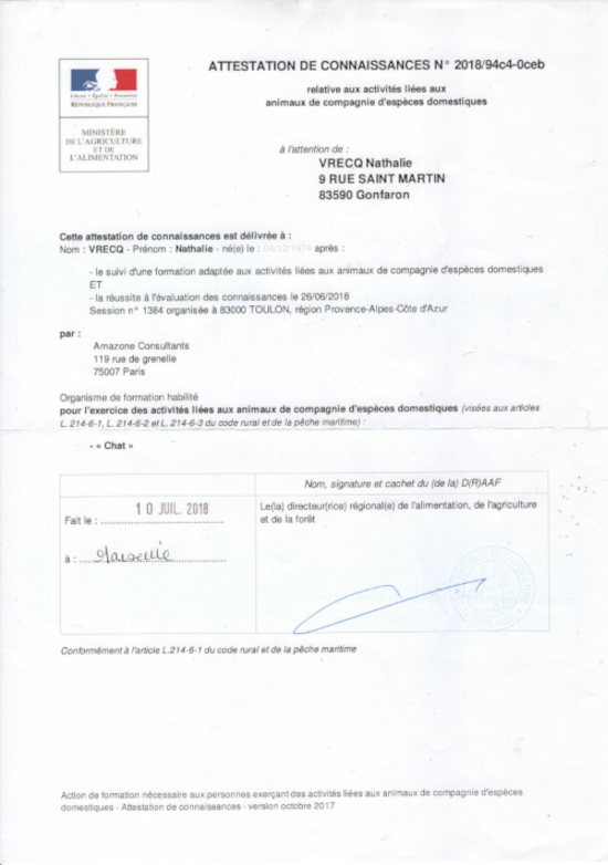 Voici l’attestation de connaissance CCAD obtenue à Marseille. Elle contient du texte imprimé, un logo, et les données personnelles ont été volontairement effacées par souci de protection de la vie privée conformément au RGPD. Il est interdit de la reproduire, même partiellement.