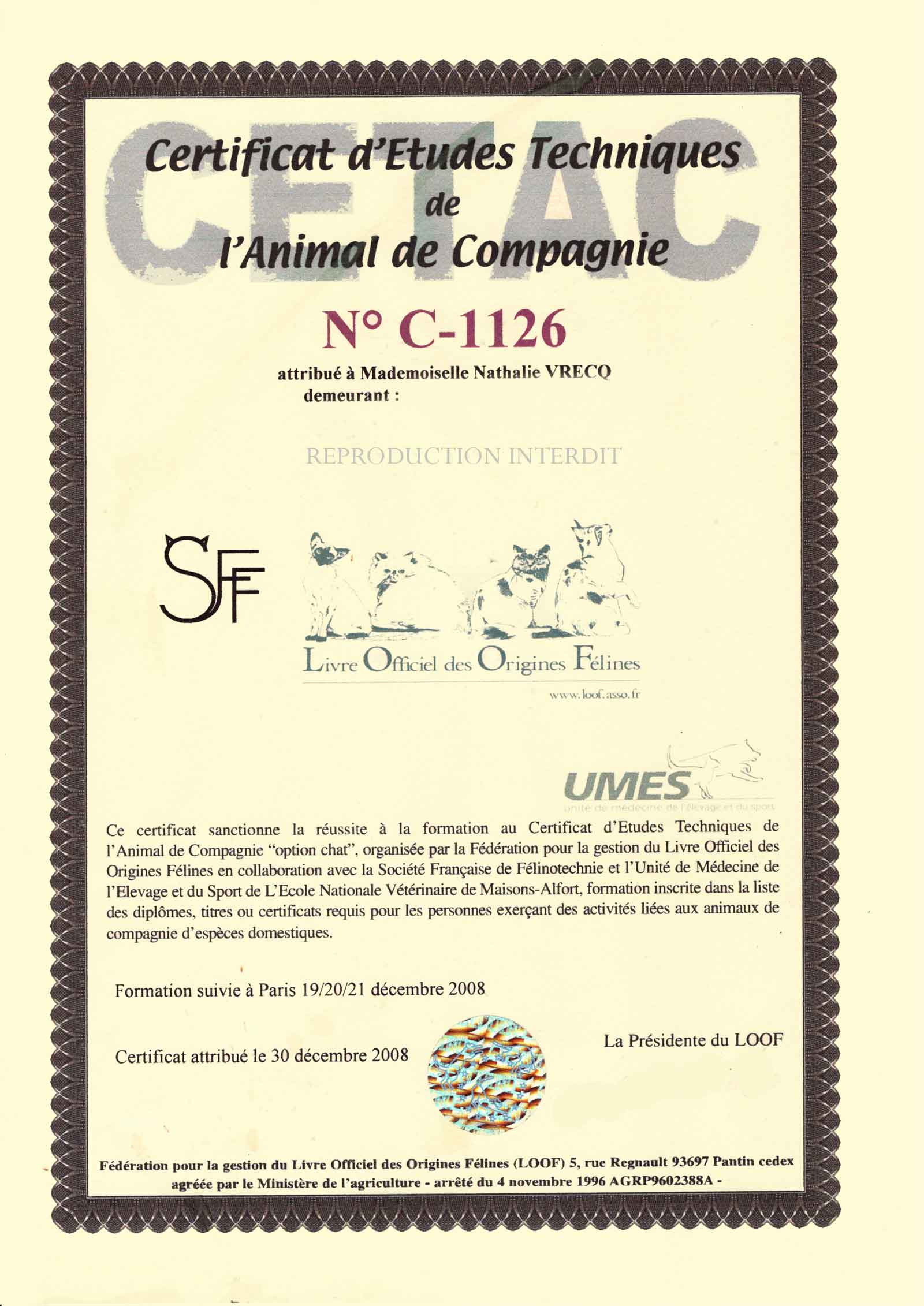 Certificat d’Études Techniques de l’Animal de Compagnie, numéro C-1126. Il est attribué à Mme VRECQ NATHALIE et indique 'REPRODUCTION INTERDITE'. Le certificat est délivré par la SF, le Livre Officiel des Origines Félines. Il y a un texte en bas qui explique que le certificat sanctionne la réussite à la formation spécifique CETA C, organisée par la Fédération du LOOF et UMES. La formation a été suivie à Paris les 19/20/21 décembre 2008. Le certificat a été attribué le 30 décembre 2008, signé par La Présidente du LOOF. En bas, il y a un logo coloré et texturé.