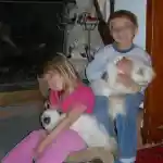 Comment tous à commencer | Mes enfants sont assis près de la cheminée, chacun tenant fièrement un de mes persans avec un grand sourire. L’un des chats est dans les bras de l’un de mes enfants, tandis que l’autre est confortablement installé sur les genoux de l’autre. La cheminée en pierre offre un arrière-plan chaleureux.