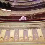 Platée - Opéra-Comique de Paris | Mise en vedette de notre chat Persan blanc, Ibrahaam Des Jardins Persans, qui repose comme la star du moment au premier étage de l’un des balcons ornés de l’Opéra Comique de Paris où se trouveront les spectateurs lors du spectacle ! Cette photographie dégage une sympathique touche de charme.